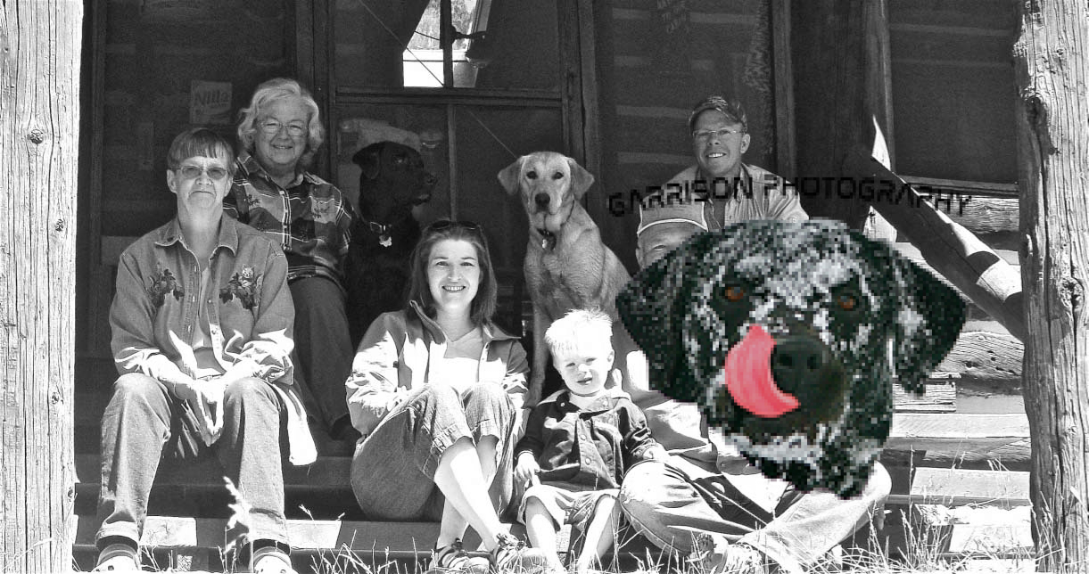 Family-sitting-on-Porch-with-dogs